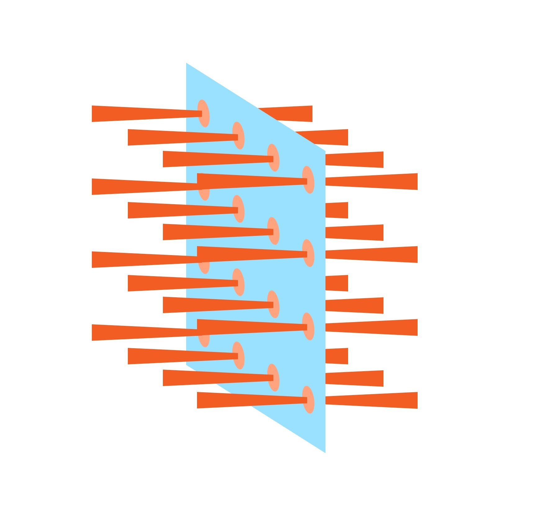What Are Optical Tweezer Arrays And How Are They Used In Quantum 
